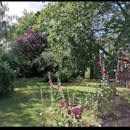 Geraeumiges 120M² Haus Mit Garten + Stellplatz Stralsund Bagian luar foto